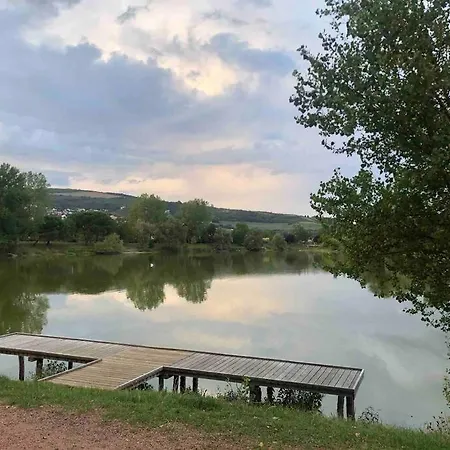 Maison Et Parking Privé Proche Zénith Et Volcans. *